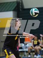 Photo from the gallery "North Marion @ Forest"
