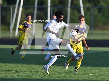 Thumbnail 1 in Copley vs. Jackson photogallery.