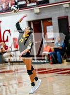 Photo from the gallery "Kennedy @ Laguna Creek"