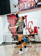 Photo from the gallery "Kennedy @ Laguna Creek"