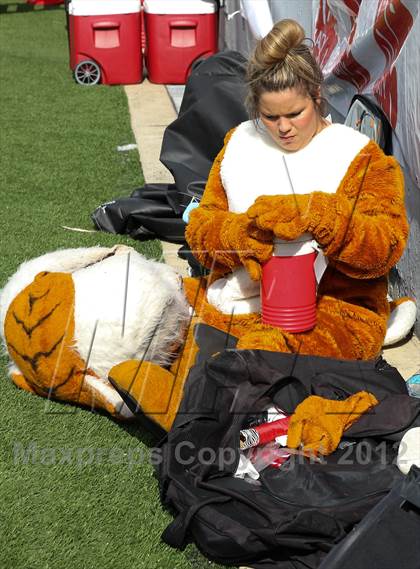 Thumbnail 1 in Katy vs. Cypress Ranch (UIL 5A Division 2 Quarterfinal Playoff) photogallery.