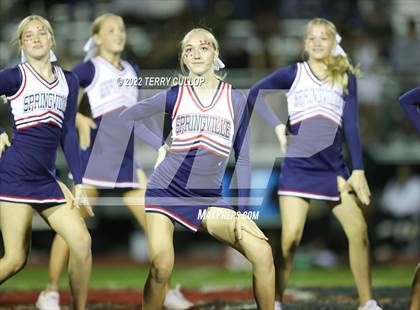 Thumbnail 1 in Provo @ Springville photogallery.