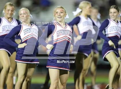 Thumbnail 3 in Provo @ Springville photogallery.