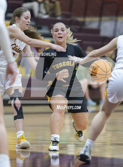 Thumbnail 3 in Tuscola @ Clinton photogallery.
