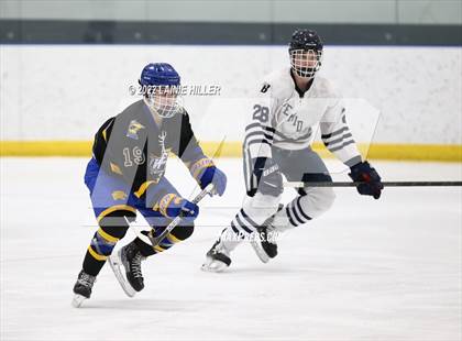 Thumbnail 2 in Thief River Falls @ Bemidji photogallery.