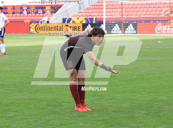 null - Photo 21