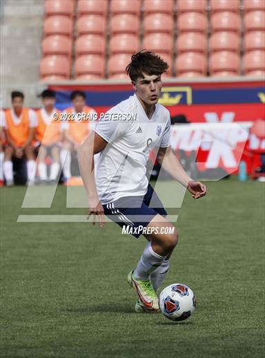 null - Photo 21