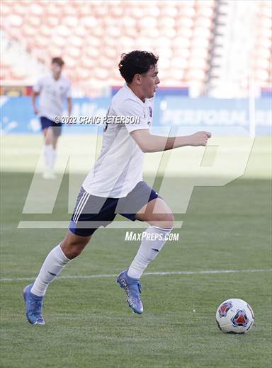 null - Photo 41