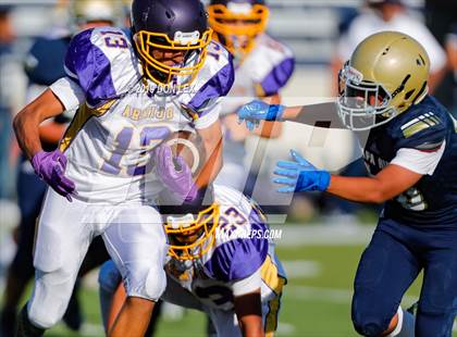Thumbnail 1 in Armijo @ Napa photogallery.