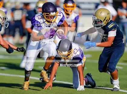 Thumbnail 3 in Armijo @ Napa photogallery.