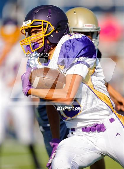 Thumbnail 1 in Armijo @ Napa photogallery.