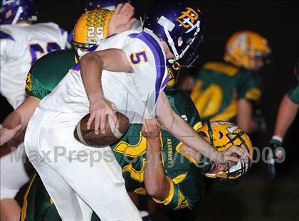 Thumbnail 1 in Bret Harte @ Argonaut photogallery.