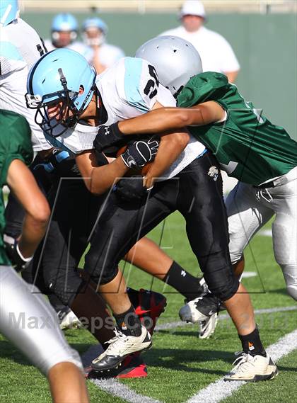 Thumbnail 3 in West Jordan @ Olympus photogallery.