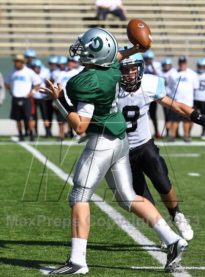 Thumbnail 2 in West Jordan @ Olympus photogallery.
