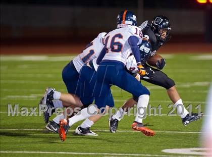 Thumbnail 1 in Steele vs. Brandeis photogallery.
