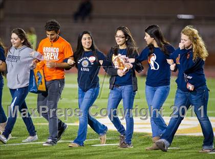 Thumbnail 1 in Steele vs. Brandeis photogallery.
