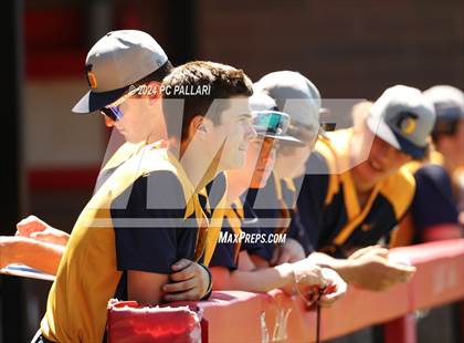 Thumbnail 2 in Oak Ridge @ Jesuit photogallery.