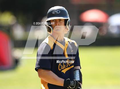Thumbnail 1 in Oak Ridge @ Jesuit photogallery.