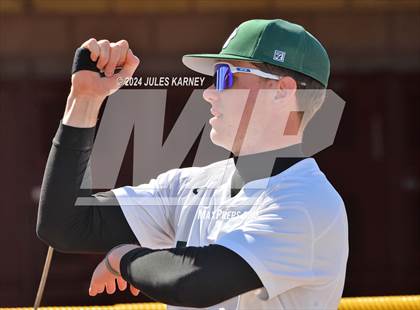 Thumbnail 3 in Desert Oasis vs Palo Verde photogallery.