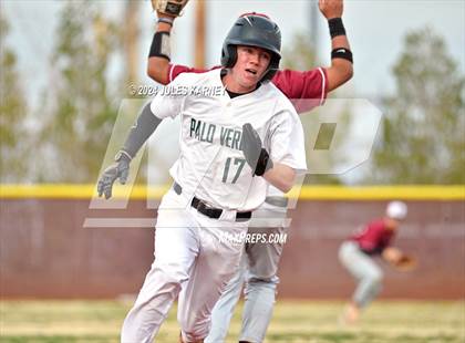 Thumbnail 1 in Desert Oasis vs Palo Verde photogallery.