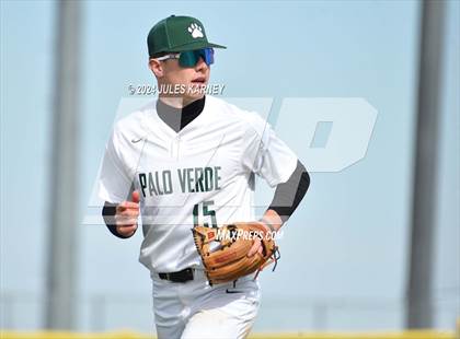 Thumbnail 1 in Desert Oasis vs Palo Verde photogallery.
