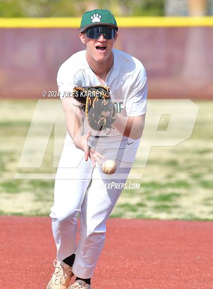 Thumbnail 2 in Desert Oasis vs Palo Verde photogallery.