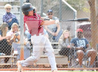 Thumbnail 1 in Desert Oasis vs Palo Verde photogallery.