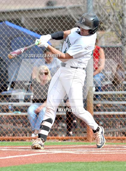 Thumbnail 3 in Desert Oasis vs Palo Verde photogallery.
