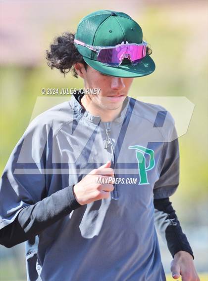 Thumbnail 1 in Desert Oasis vs Palo Verde photogallery.