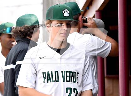 Thumbnail 2 in Desert Oasis vs Palo Verde photogallery.
