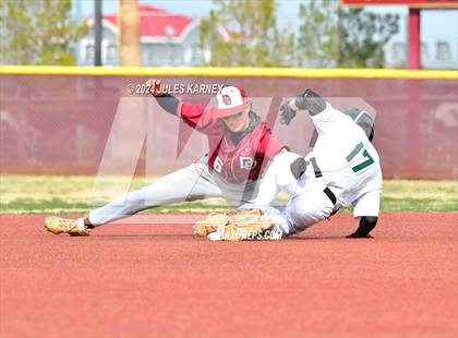 Thumbnail 2 in Desert Oasis vs Palo Verde photogallery.