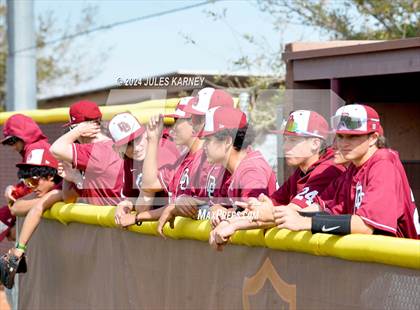Thumbnail 2 in Desert Oasis vs Palo Verde photogallery.