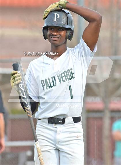 Thumbnail 1 in Desert Oasis vs Palo Verde photogallery.