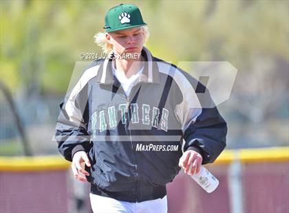 Thumbnail 3 in Desert Oasis vs Palo Verde photogallery.