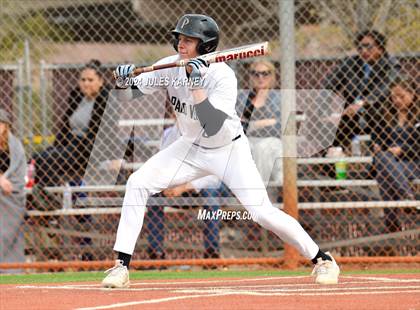 Thumbnail 3 in Desert Oasis vs Palo Verde photogallery.