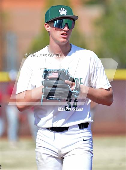 Thumbnail 2 in Desert Oasis vs Palo Verde photogallery.