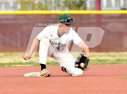 Thumbnail 1 in Desert Oasis vs Palo Verde photogallery.