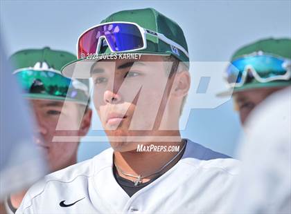 Thumbnail 3 in Desert Oasis vs Palo Verde photogallery.