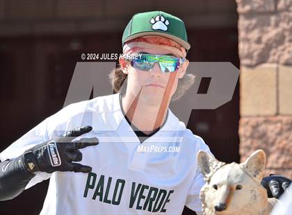 Thumbnail 1 in Desert Oasis vs Palo Verde photogallery.