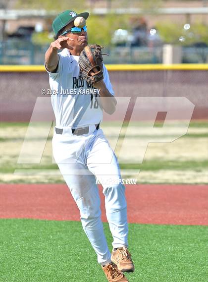 Thumbnail 2 in Desert Oasis vs Palo Verde photogallery.