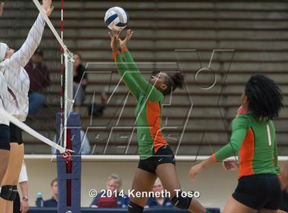 Thumbnail 3 in Houston @ Highlands photogallery.
