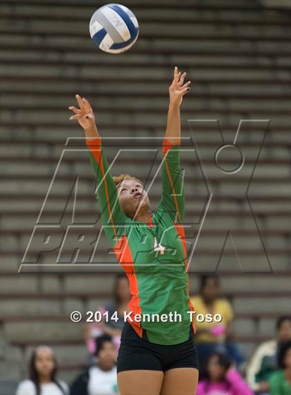 Thumbnail 3 in Houston @ Highlands photogallery.
