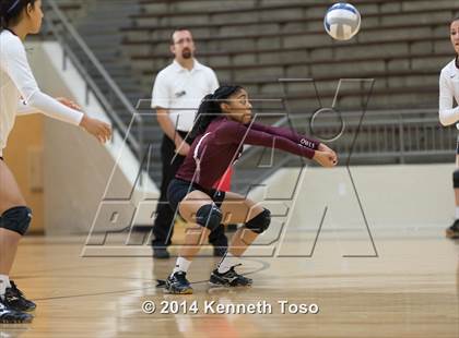 Thumbnail 3 in Houston @ Highlands photogallery.