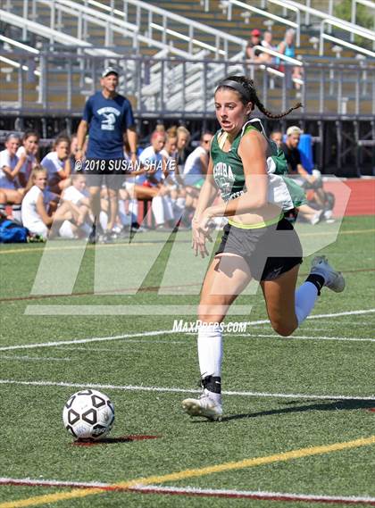 Thumbnail 3 in Winchester @ Nashoba Regional photogallery.