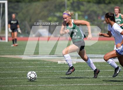 Thumbnail 2 in Winchester @ Nashoba Regional photogallery.
