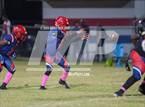 Photo from the gallery "St. Luke's Episcopal @ Chickasaw"