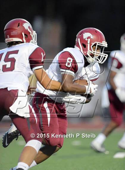 Thumbnail 3 in Destrehan @ Hahnville photogallery.