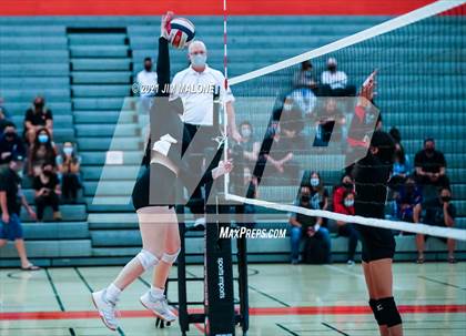 Thumbnail 1 in Arroyo @ Washington photogallery.