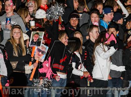 Thumbnail 3 in Pomona @ Ralston Valley photogallery.
