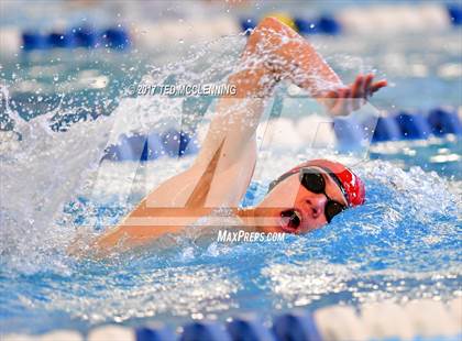 Thumbnail 2 in AAA Championship Dive Meet  photogallery.